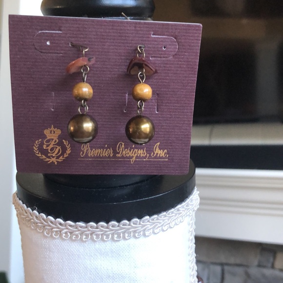 NWOT Into the Wild Premier Designs necklace and earrings - Picture 6 of 9